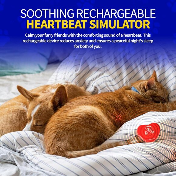 Rechargeable Red Heartbeat Simulator with USB Cord – Long-Lasting Heartbeat Toy - Picture 2 of 8